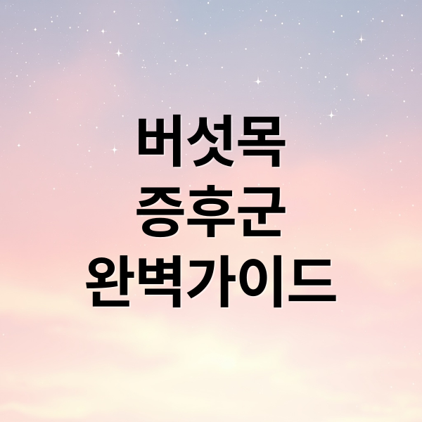 thumbnail 1766540694763 fow7y6dabq